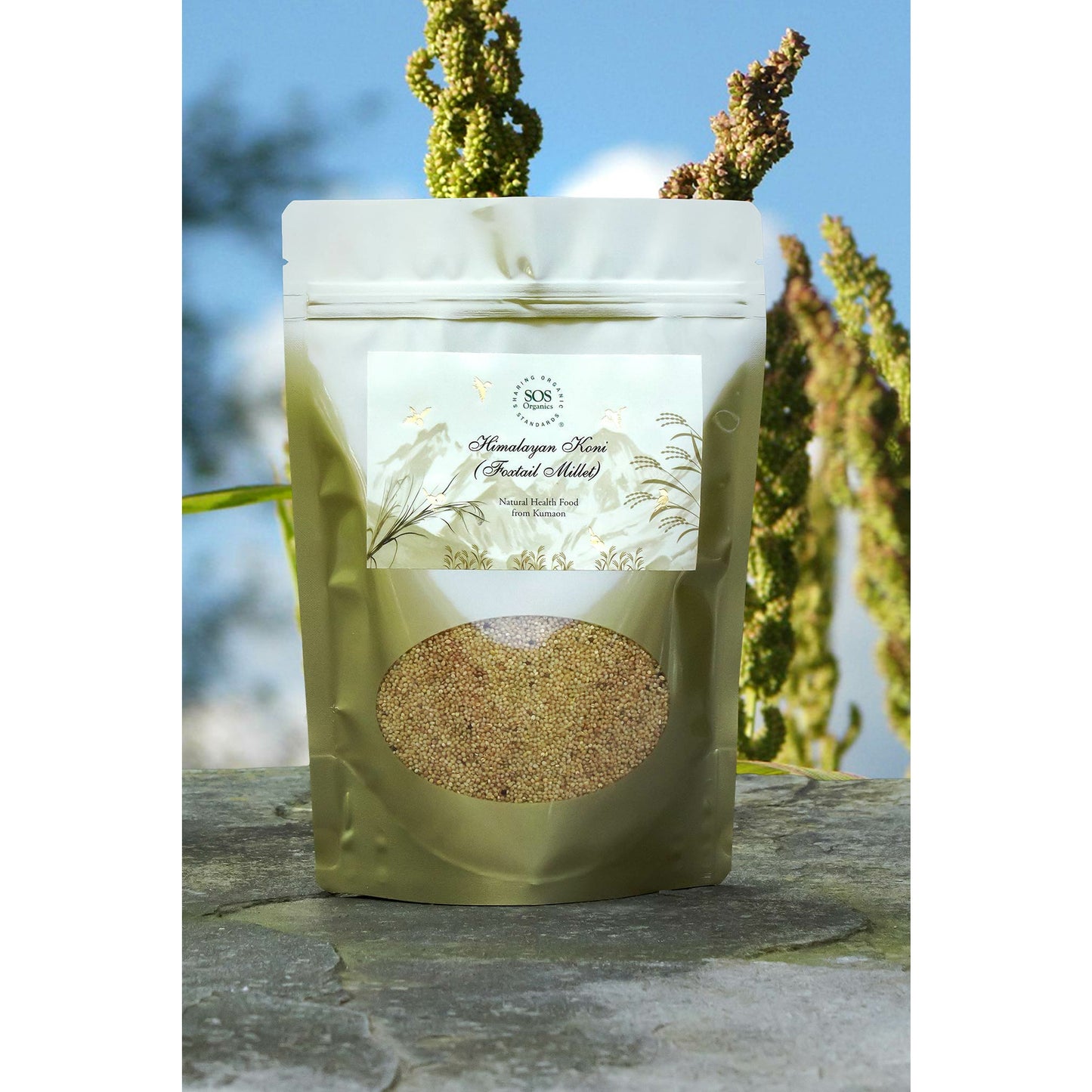 Himalayan Koni (Foxtail Millet)
